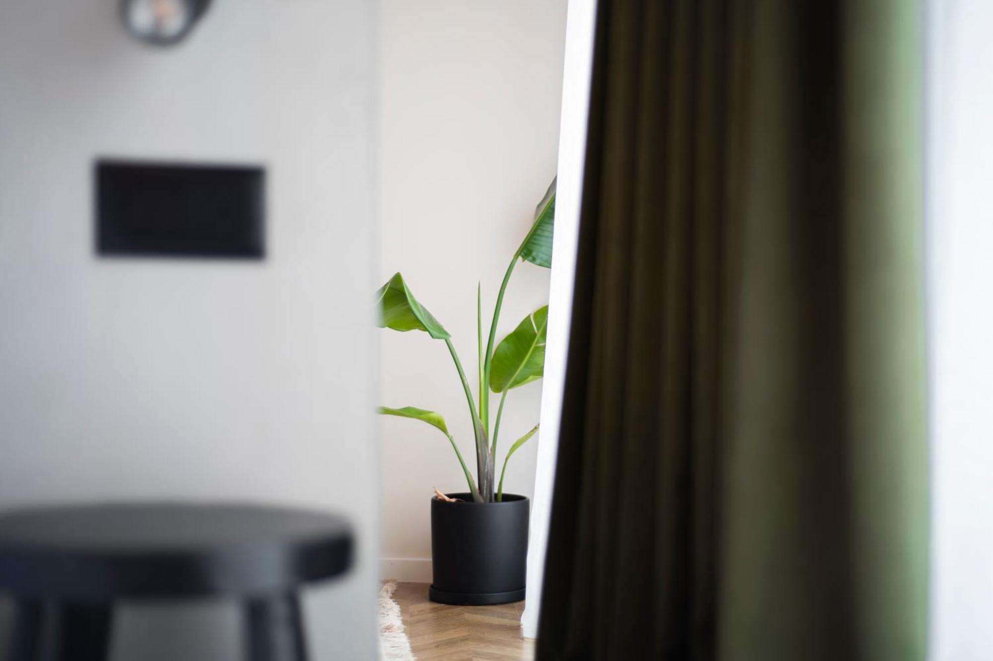 Muz Studios Тирана Екстериор снимка